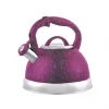 Stainless Steel Kettle 2.5L  Star Painting